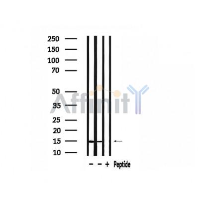 Валидация Affinity DF3680 - 14692