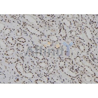 Валидация Affinity DF8223 - 20056