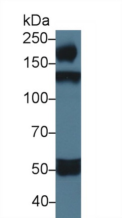 14001
