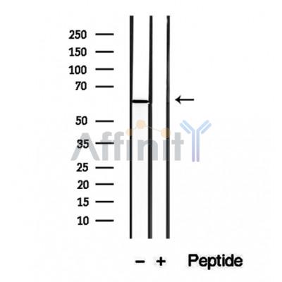 Валидация Affinity DF12387 - 6860