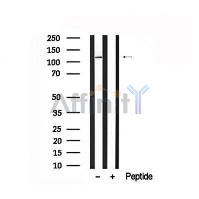 Валидация Affinity AF7679 - 4362