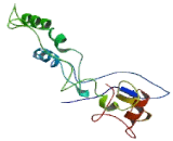 Fibroblast Growth Factor Binding Protein 1 (FGFBP1) Fibroblast Growth Factor Binding Protein 1 (FGFBP1)