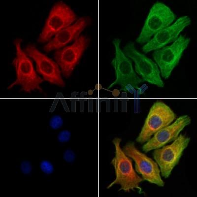 Валидация Affinity DF12194 - 6436