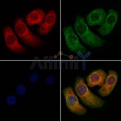 Валидация Affinity DF4749 - 16458