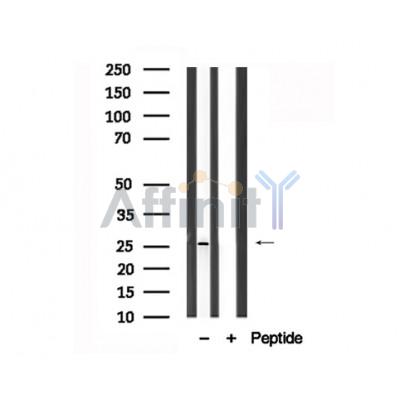 Валидация Affinity AF7717 - 4410