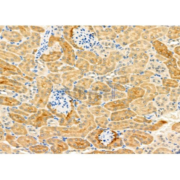 Валидация Affinity DF6633 - 18102