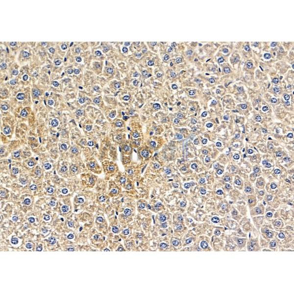 Валидация Affinity DF13267 - 8359