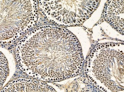 Валидация Affinity DF14119 - 9914