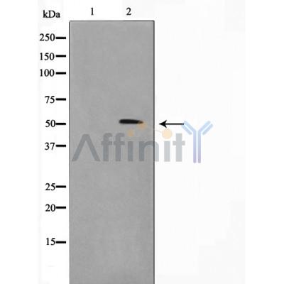 Валидация Affinity AF5285 - 2819