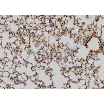 Валидация Affinity AF5368 - 2986