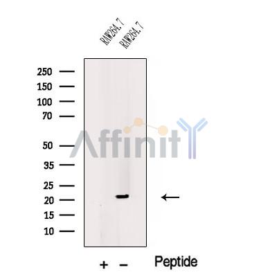 Валидация Affinity DF12537 - 7139