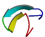 Cadherin EGF LAG Seven Pass G-Type Receptor 2 (CELSR2) Cadherin EGF LAG Seven Pass G-Type Receptor 2 (CELSR2)