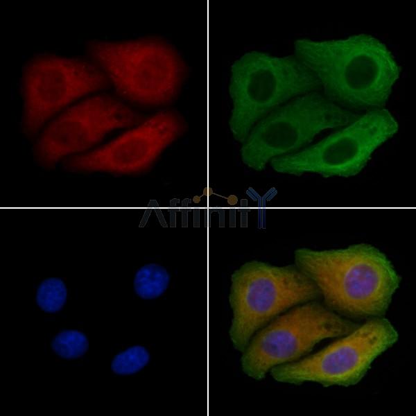 Валидация Affinity DF4577 - 16179