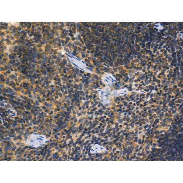 Валидация Affinity DF4890 - 16683