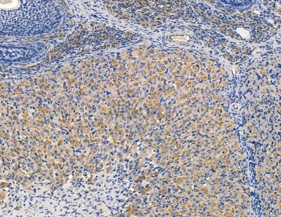 Валидация Affinity DF9117 - 21429