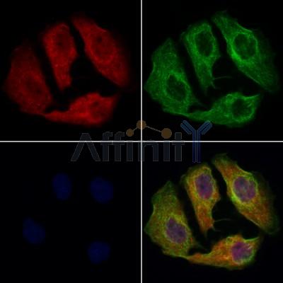 Валидация Affinity DF12304 - 6683