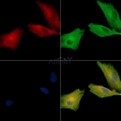 Валидация Affinity DF13915 - 9652