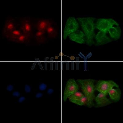 Валидация Affinity DF13564 - 9018