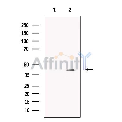 Валидация Affinity DF13530 - 8946