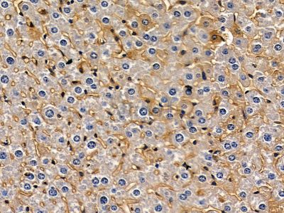 Валидация Affinity DF9463 - 22047