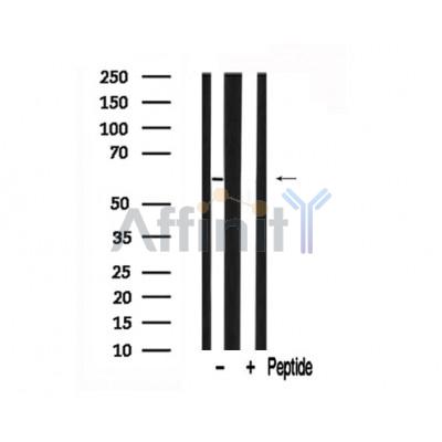 Валидация Affinity AF7695 - 4382