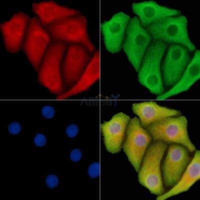 Валидация Affinity DF14331 - 10231