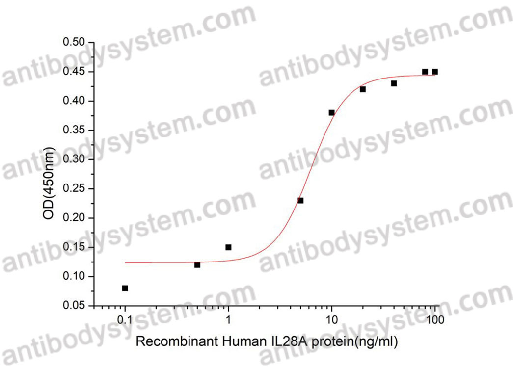 Валидация активности AntibodySystem AHJ19801