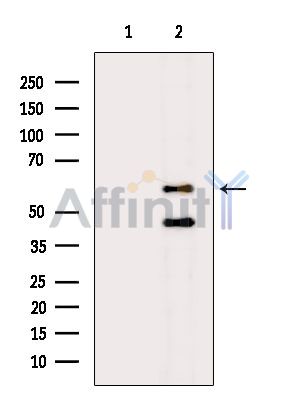 Валидация Affinity DF3179 - 13983