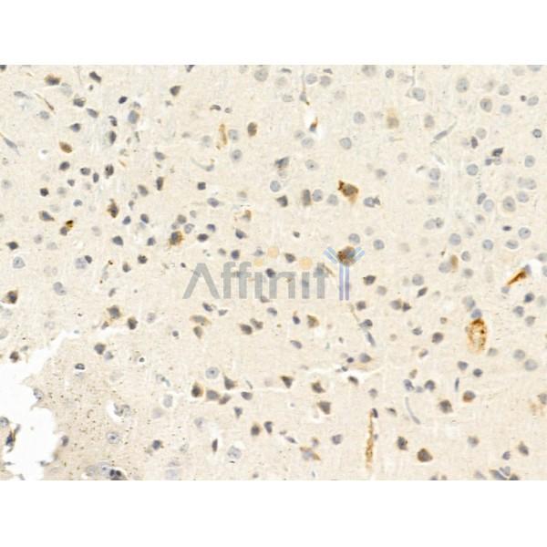 Валидация Affinity DF8265 - 20107