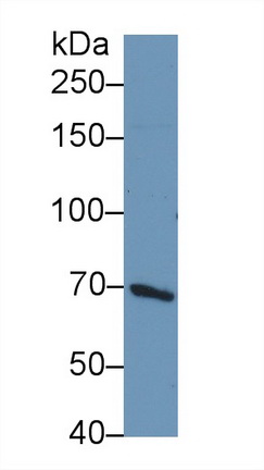 9363