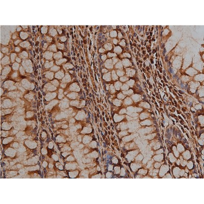 Валидация Affinity AF5334 - 2913