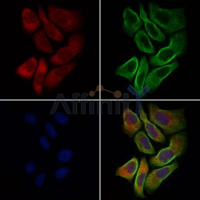 Валидация Affinity DF4867 - 16648