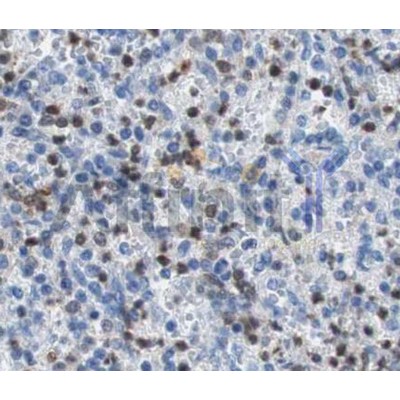 Валидация Affinity AF5008 - 2438