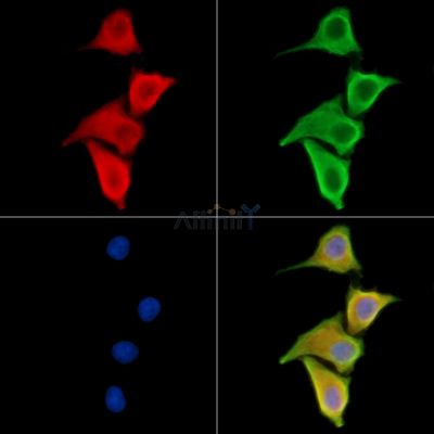 Валидация Affinity DF14144 - 9948