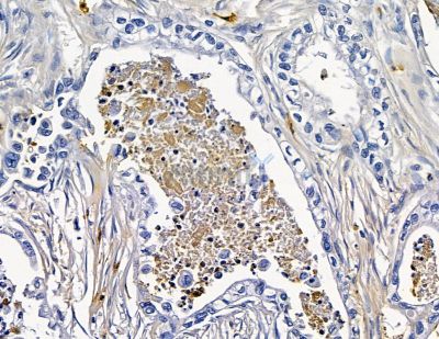 Валидация Affinity DF15861 - 12369