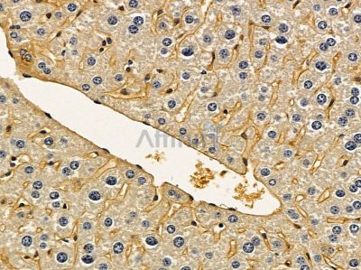 Валидация Affinity DF8428 - 20307