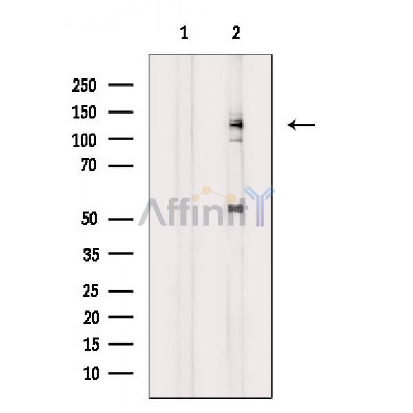 Валидация Affinity DF3226 - 14058