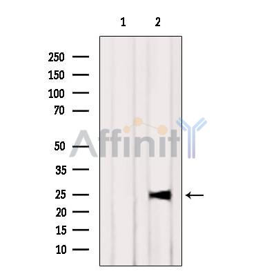 Валидация Affinity DF6781 - 18351