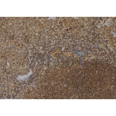 Валидация Affinity DF6971 - 18595