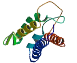 Interleukin 2 (IL2) Interleukin 2 (IL2)