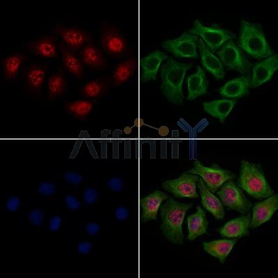 Валидация Affinity AF7735 - 4435