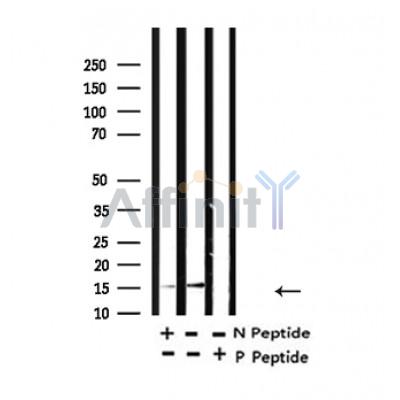 Валидация Affinity AF4355 - 2188