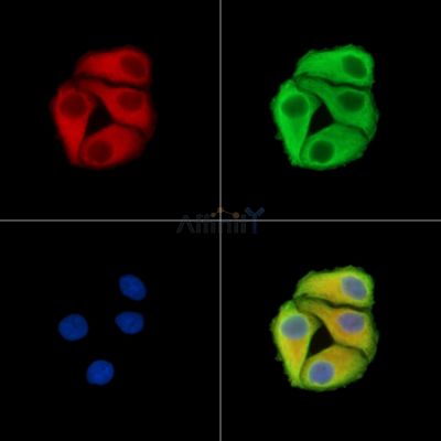 Валидация Affinity DF15460 - 11820