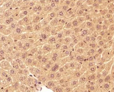 Валидация AssayVector ARM2313(3994)