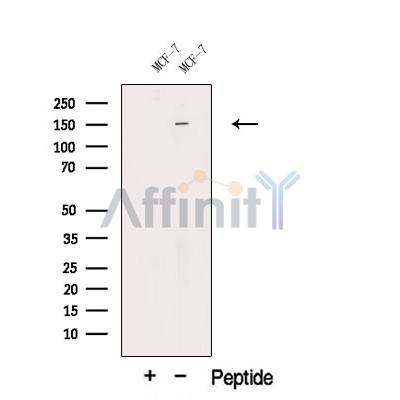 Валидация Affinity DF12518 - 7115