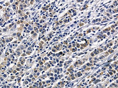 Валидация Affinity DF7226 - 18879