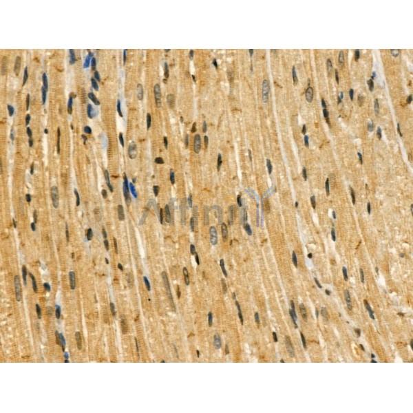 Валидация Affinity DF3077 - 13814