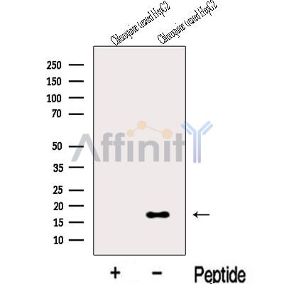 Валидация Affinity DF13125 - 8045