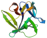Fibroblast Growth Factor 7 (FGF7) Fibroblast Growth Factor 7 (FGF7)