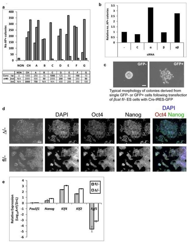 Валидация AssayVector ARM1377(1046)